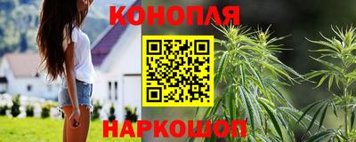 PSILOCYBIN Бугуруслан