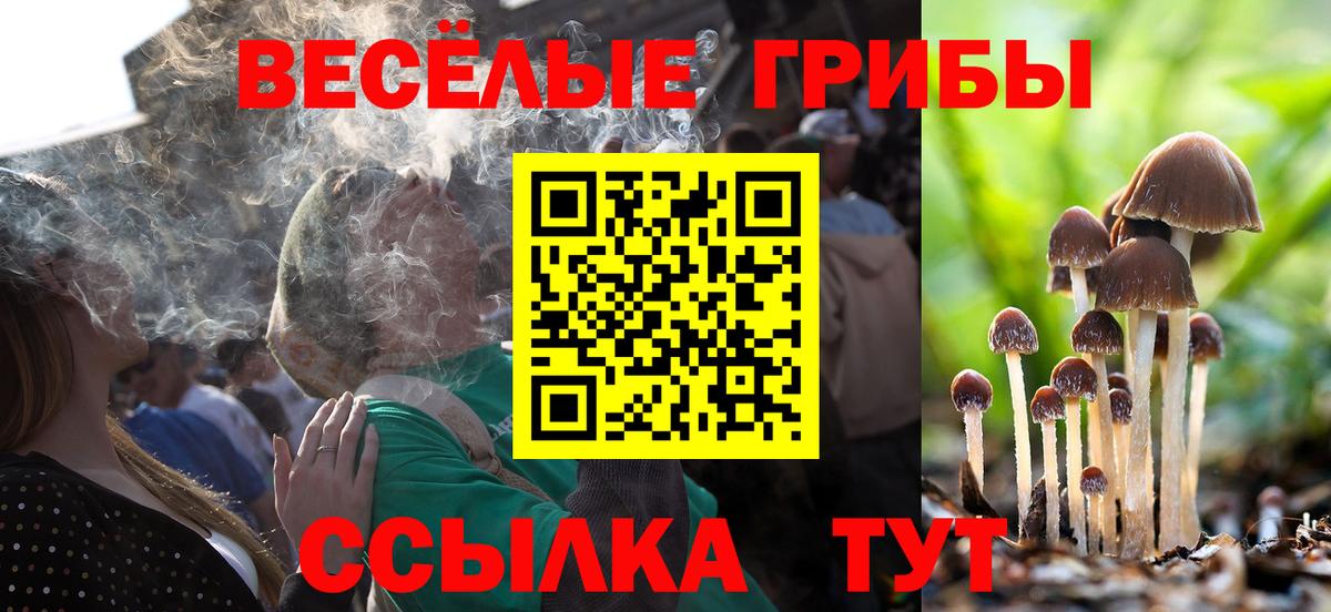 Псилоцибиновые грибы Cubensis  Псилоцибиновые грибы мухоморы  Отрадное  где купить наркоту  Вход с VPN 